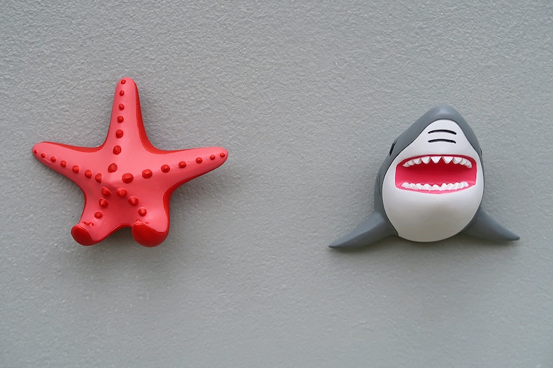 The Zoo wandhaak/deurknop oceaan bijcees.nl